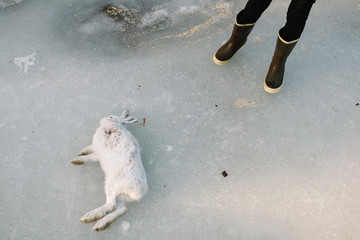 boy standing by rabbit he shot
