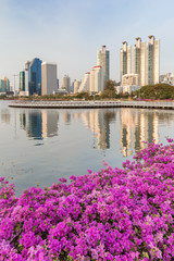 Blooming flowers at the Benjakiti (Benjakitti) Park and reflection of skyscrapers in Bangkok, Thailand. © tuomaslehtinen