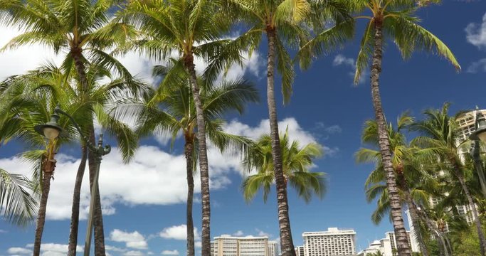 Tourists sun bathe and swim in the Pacific Ocean shore of Waikiki beach on the island of Oahu Hawaii USA