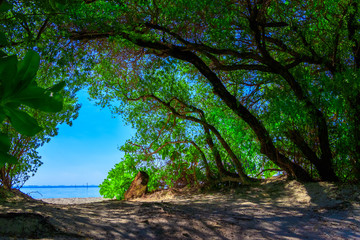 Fototapeta premium Dreamscape Escape On Maldives