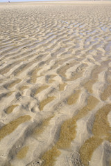 Rippled wet sand.