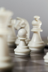 Chess figure pawn on the board. White chess figures Knight, Bishop, Pawn.