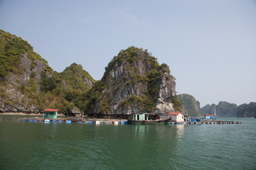 Obraz premium Island scene in near Cat Ba Island, Vietnam