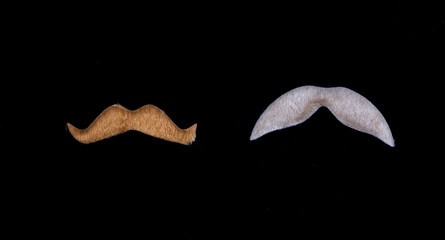 Whiskers on a black isolated background