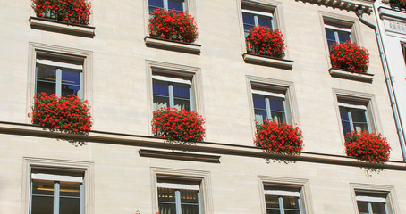 Fototapeta premium View on white building wall with red flowers on sills, paris city, france