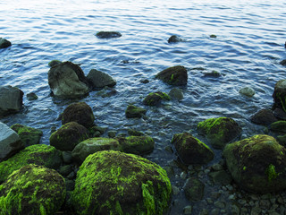Still sea shore with blue water and stones. Mossy seaweed stones on volcanic beach.