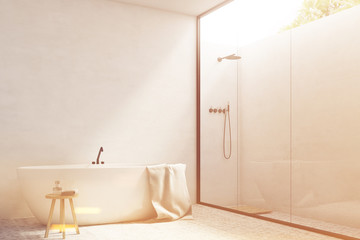 White bathroom with a tub, corner, toned