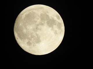 Full moon