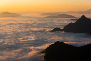 Mountain Mist