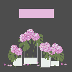 Floral background.  Hydrangeas in vases. Vector illustration.
