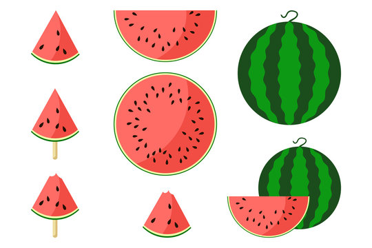 Watermelon fresh slices. Set of watermelon vector icons 