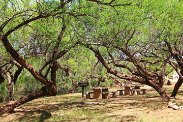 El Bosquecito picnic area in Colossal Cave Mountain Park in Vail, Arizona, USA near Tucson.