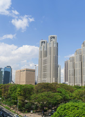 Fototapeta na wymiar 東京都市風景　新宿　新宿中央公園と高層ビル