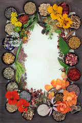 Herbal medicine selection of fresh and dried herbs and flowers forming a border on parchment paper over oak background.
