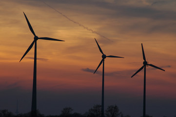 Obraz premium Windräder