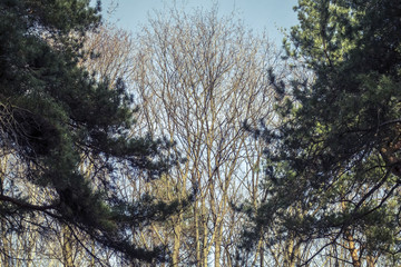 Весна в Москве