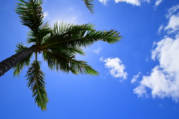 Obraz na płótnie Canvas blue sky in hawaii