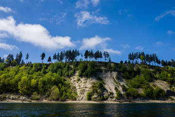 Trees on a bluff above the Puget Sound