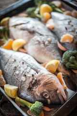 Sea gilt-head bream fish on baking sheet