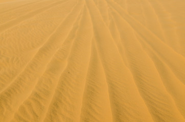 Sandy dune background.