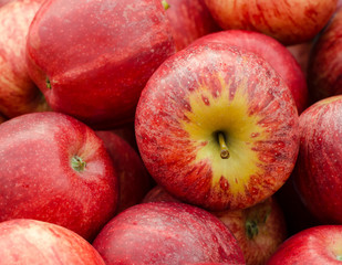Stack of red apples