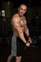 Fototapeta na wymiar Muscular Man Exercising Triceps On Machine