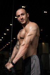 Fototapeta na wymiar Bodybuilder Exercising Triceps On Machine