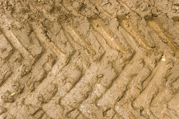 Tyre tracks in mud