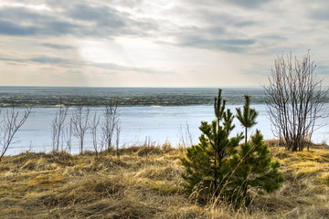 The coast of the Ob river with melting ice