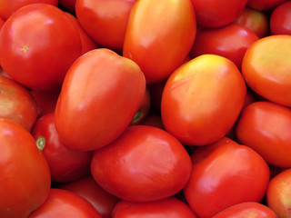 fresh organic Red tomatoes