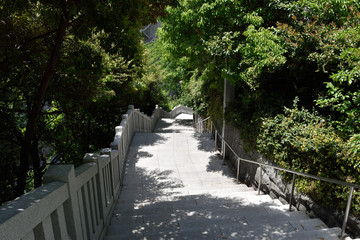 神社の参道の階段