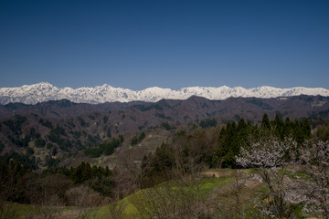 小川村から北アルプスの展望（春）