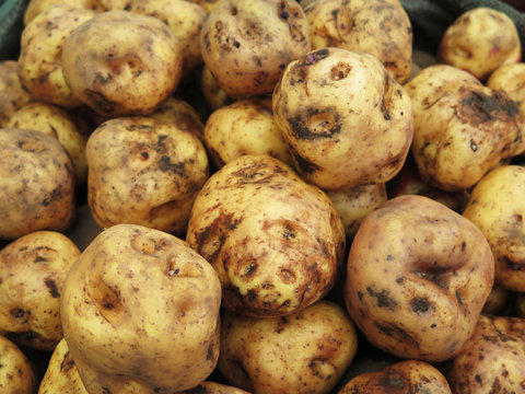 Peruvian Potatoes background