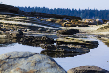 Hornby Island Rocks