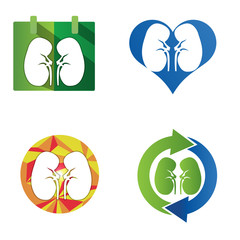 Human kidneys icon. Icon Set