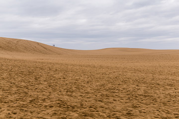 Obraz premium Tottori Dunes