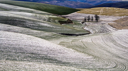 Rolling Farm Fields Covered in Snow on the Palouse in Washington State