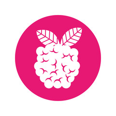 blackberry fresh fruit isolated icon vector illustration design