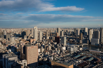 Fototapeta premium Tokyo cityscape with dense buildings at dusk 