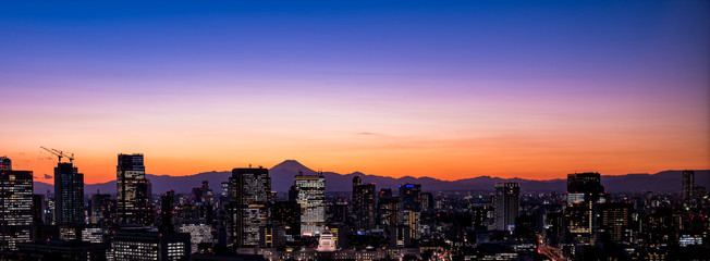 Tokyo cityscape with Mt. Fuji at dusk 