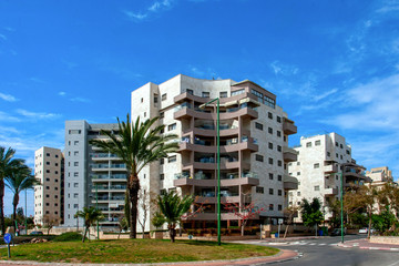 Ashkelon summery coastline with palm trees