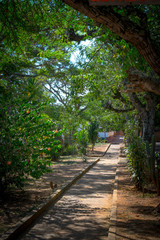 Obraz premium Park on Barichara Colombia