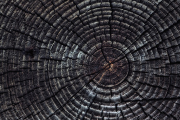 old timber background