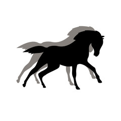 horse vector illustration black silhouette