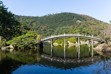 Fototapeta na wymiar Japanese Ritsurin park and bridge