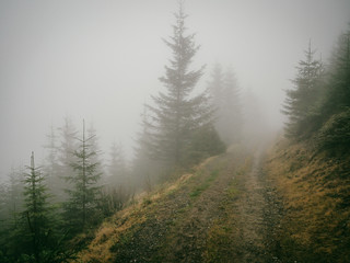 Carpathians-Dzembronya panorama landscape