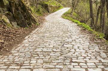 Stone paved mountain road in forest in springtime sunless day