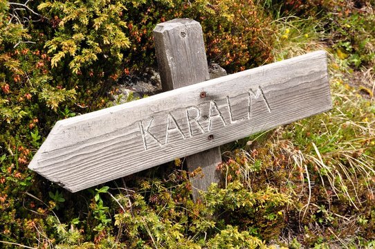 Unterwegs zur Karalm im Pinnistal
