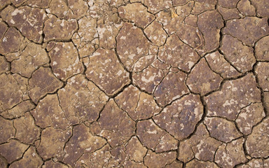 Dry land. Cracked ground background.