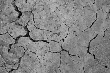 Dry land. Cracked ground background.